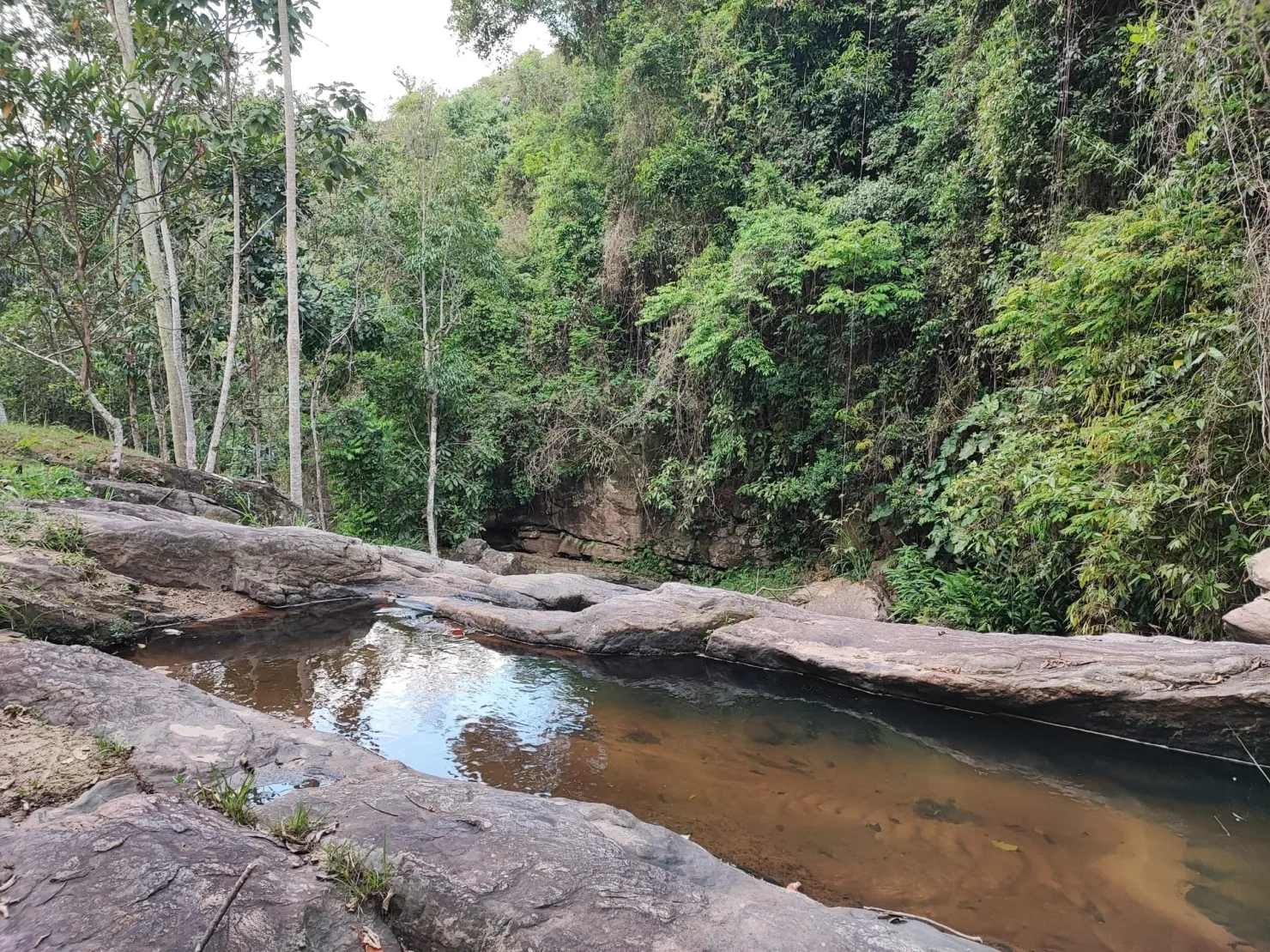 Imagem Chácara à venda 78000M², Zona Rural, Pindamonhangaba - SP
