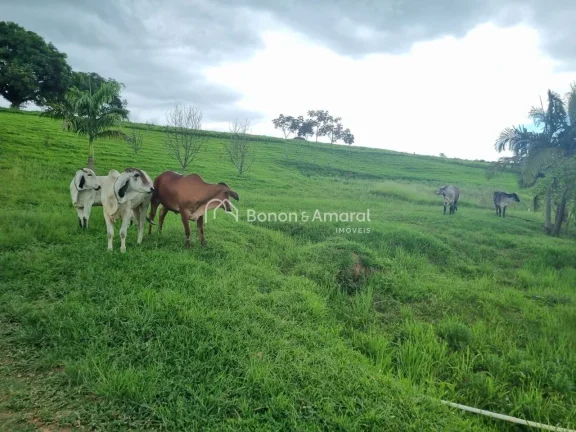 Imagem Este sítio está localizado no pé da Serra da Mantiqueira, região rica na produção do café.
Po...