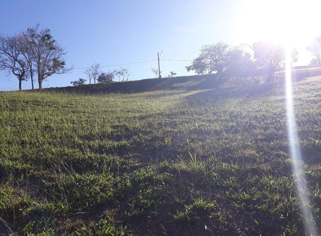 Foto do imóvel Chácara à venda Centro, Monteiro Lobato - SP