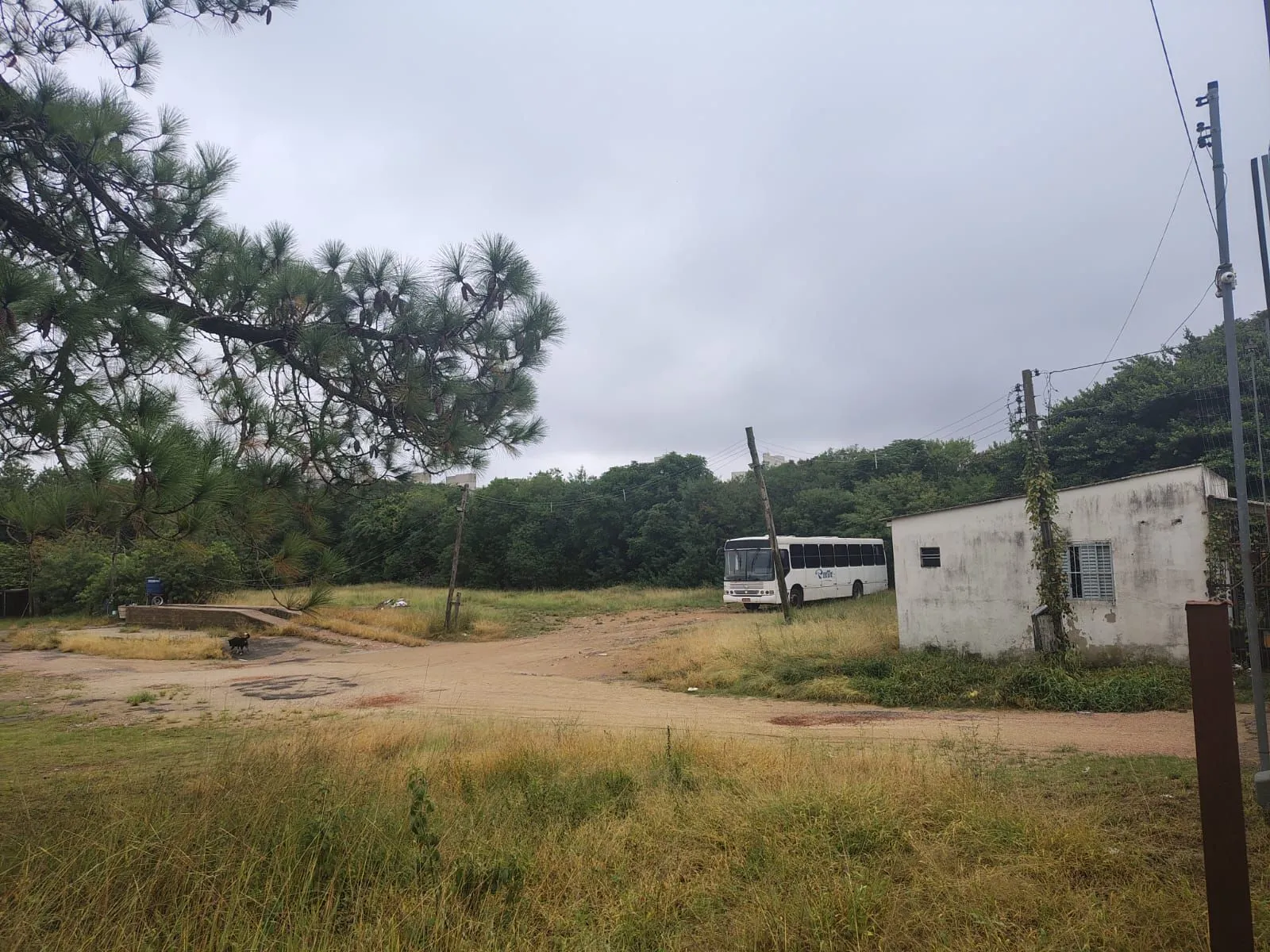 Imagem Excelente terreno no bairro Camaquã.