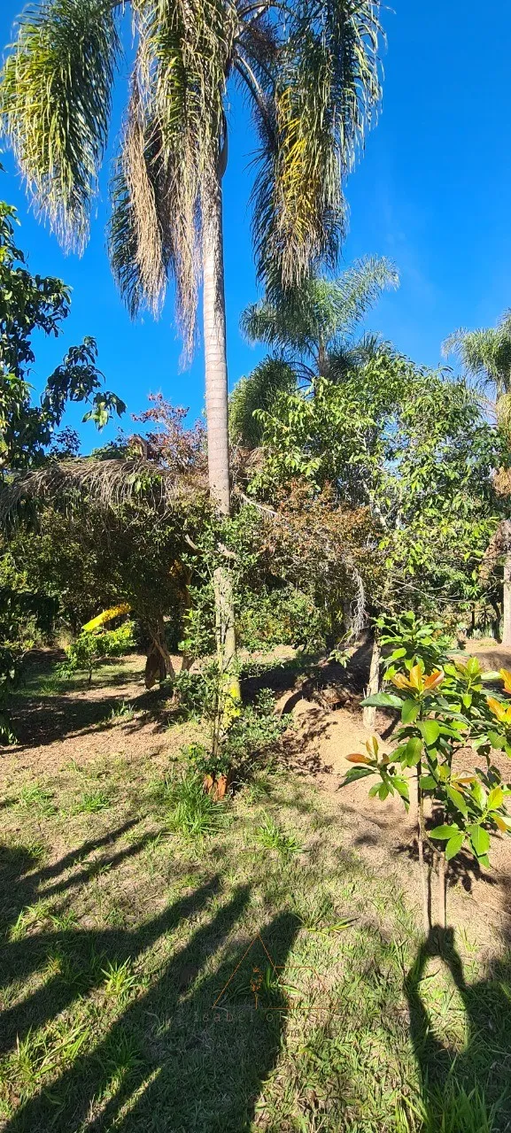 Imagem Chácara à venda em Quadra-SP, bairro Aleluia: 3 quartos, 1 sala, 2 banheiro, 120,00m² de área. Imperdível!