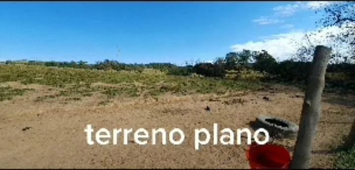 Imagem Área com 98mil m² à venda na Aparecidinha