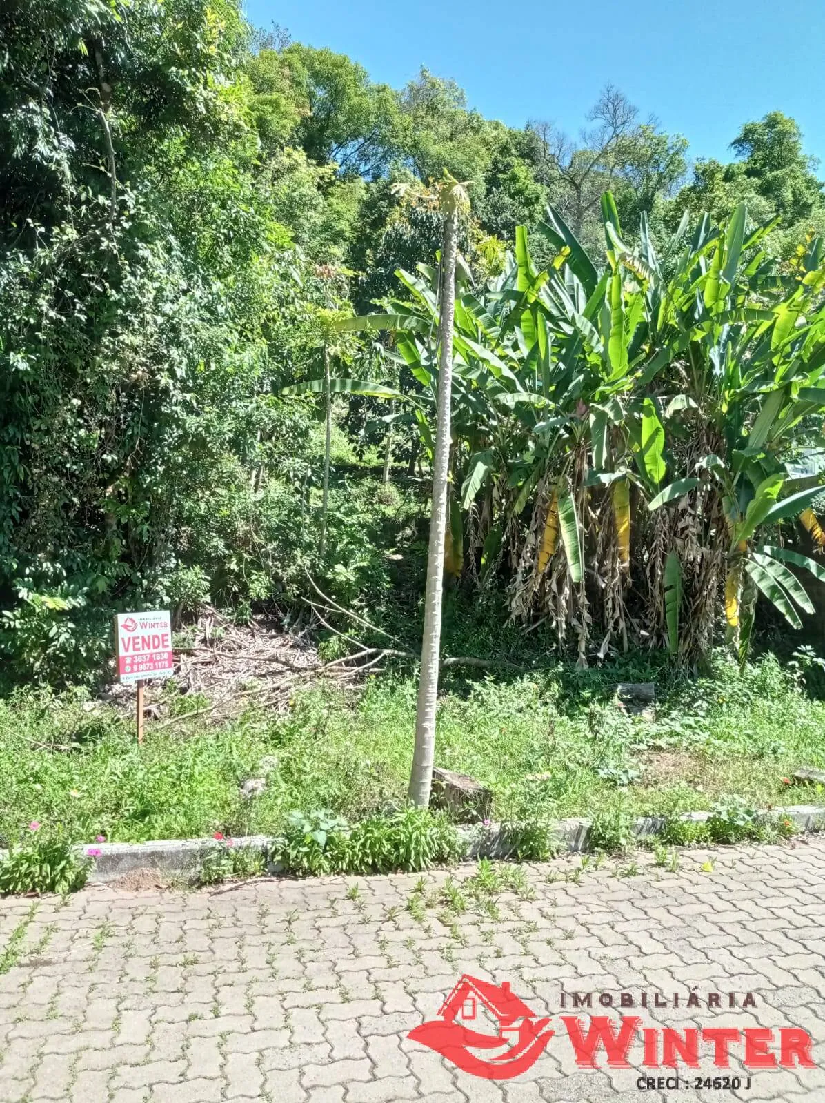 Foto do imóvel Terreno de 360m² no Loteamento Colina, bairro Matiel, Feliz.
