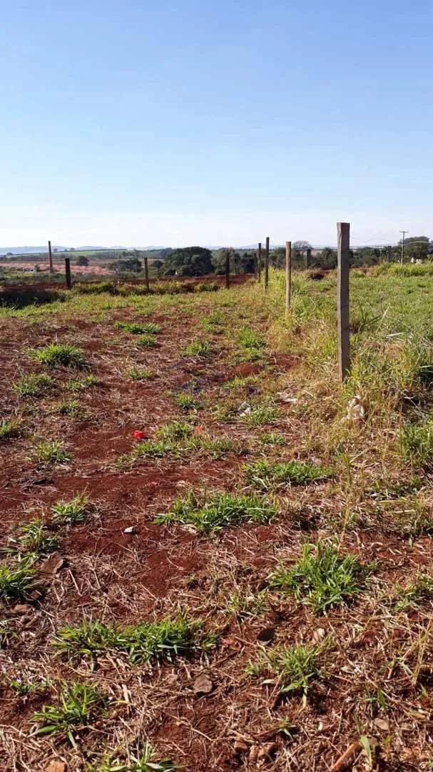 Foto do imóvel Terreno Padrão