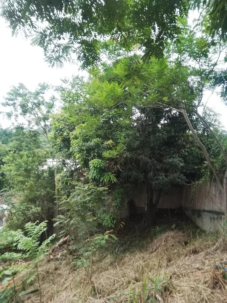 Imagem Terreno à Venda, 500 m² em Santa Bárbara - Niterói