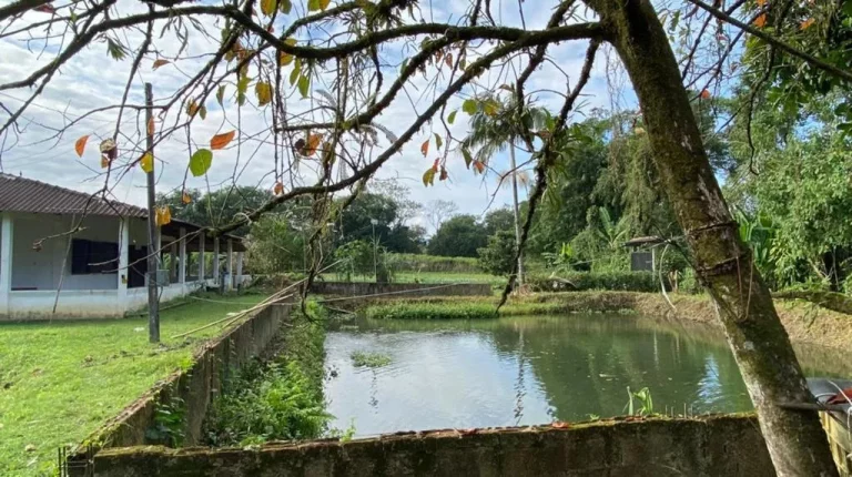 Imagem Chácara para Venda em Antonina, Cachoeira, 3 dormitórios, 1 banheiro