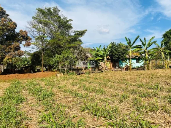 Imagem Oportunidade! Fazenda à venda em Conceição das Alagoas