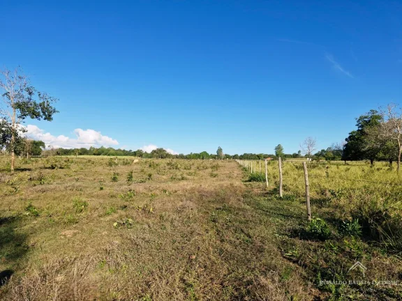 Imagem Chácara 7,8 hectares em Rochedo-MS