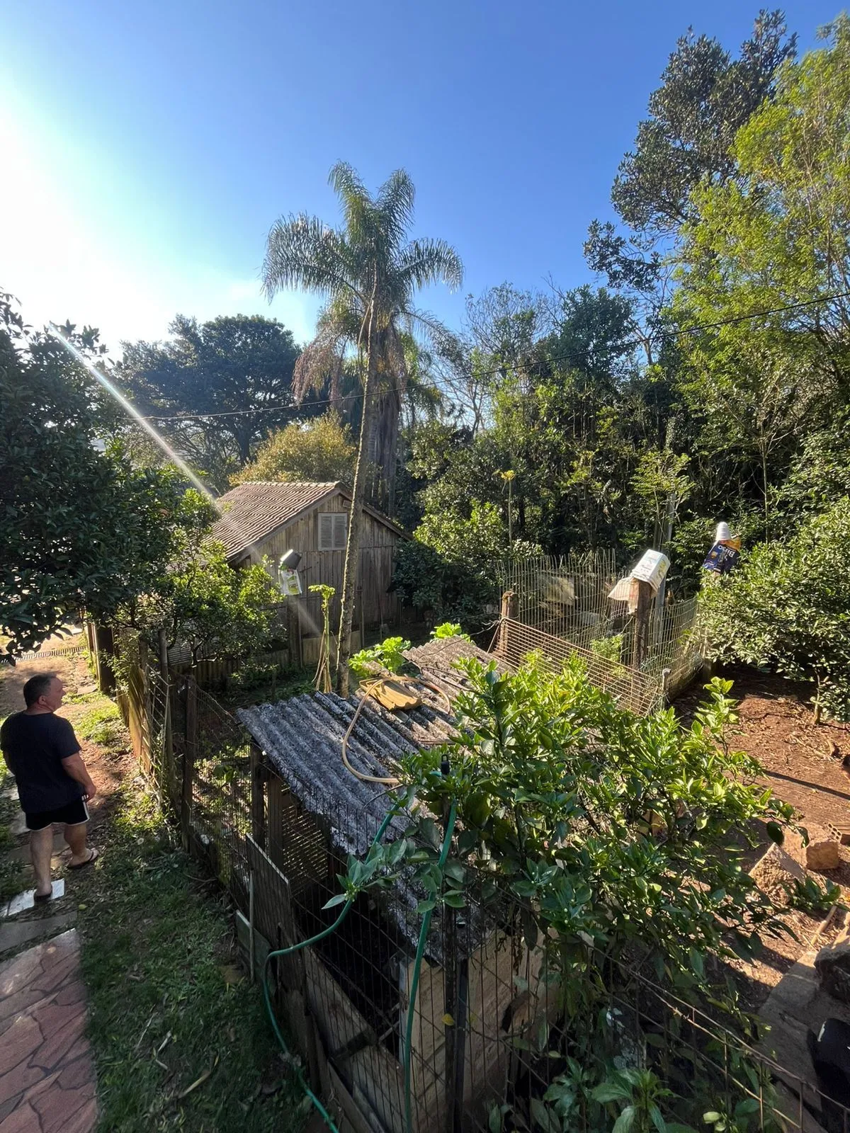 Imagem Terreno Amplo com 3 Casas - Vila Nova, Porto Alegre