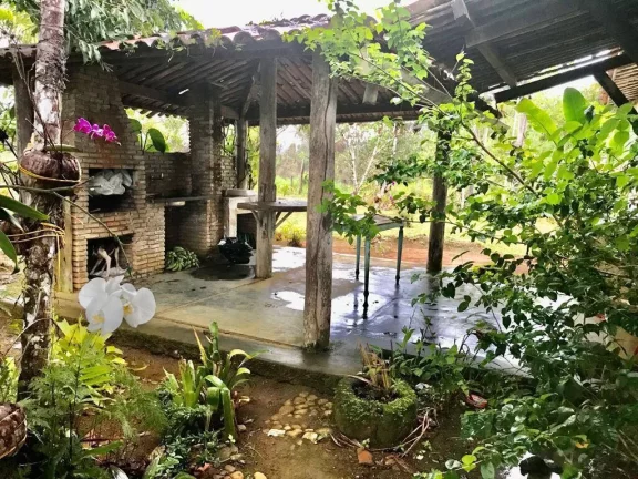 Imagem FAZENDA DE CACAU - PARAÍSO PRODUTIVO EM ITACARÉ