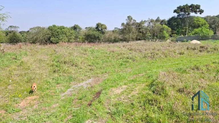 Imagem Terreno a venda com 4.450 M² em São José dos Pinhais PR