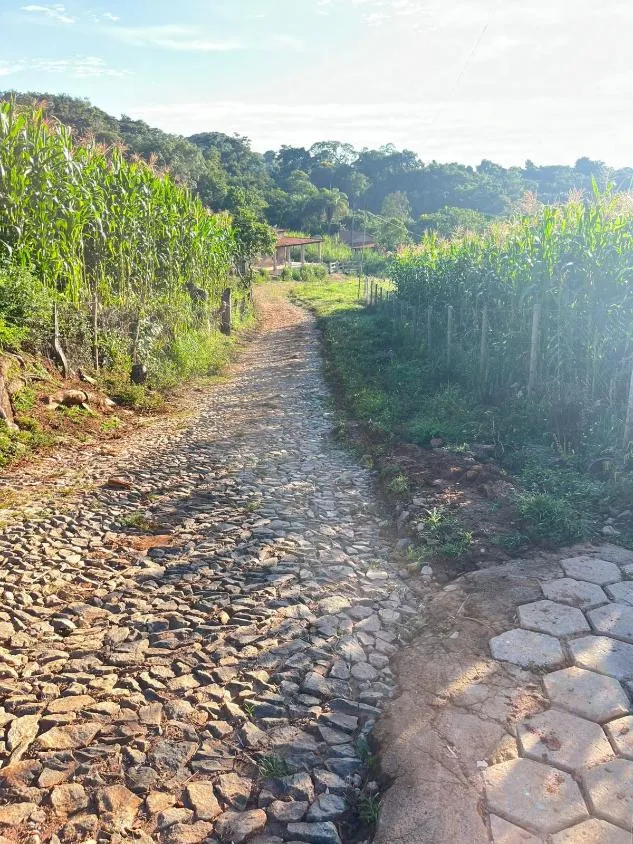 Imagem Vendo um excelente sítio em Crucilândia/MG , área total de 3 hectares (30.000 m²)