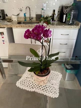 Imagem Flat disponível para venda no QI Intelligence Flat, com 36m², 1 dormitório e 1 vaga
