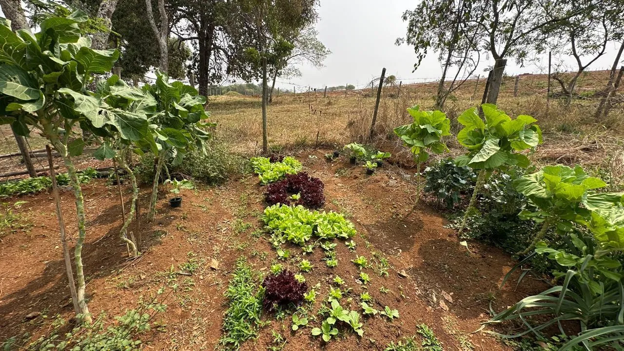 Imagem FAZENDINHA À VENDA - PASSA TEMPO (MG) 51 hectares de terra