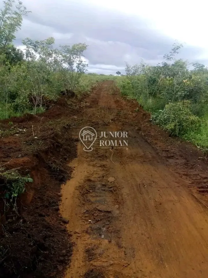 Imagem FAZENDA - 91,5 HECTARES - CRISTOPOLIS/BA