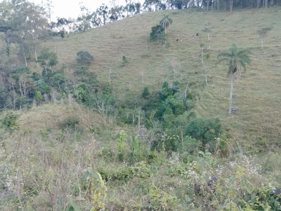 Imagem 4 Alqueires à Venda em Piracaia ? Ótima Localização!