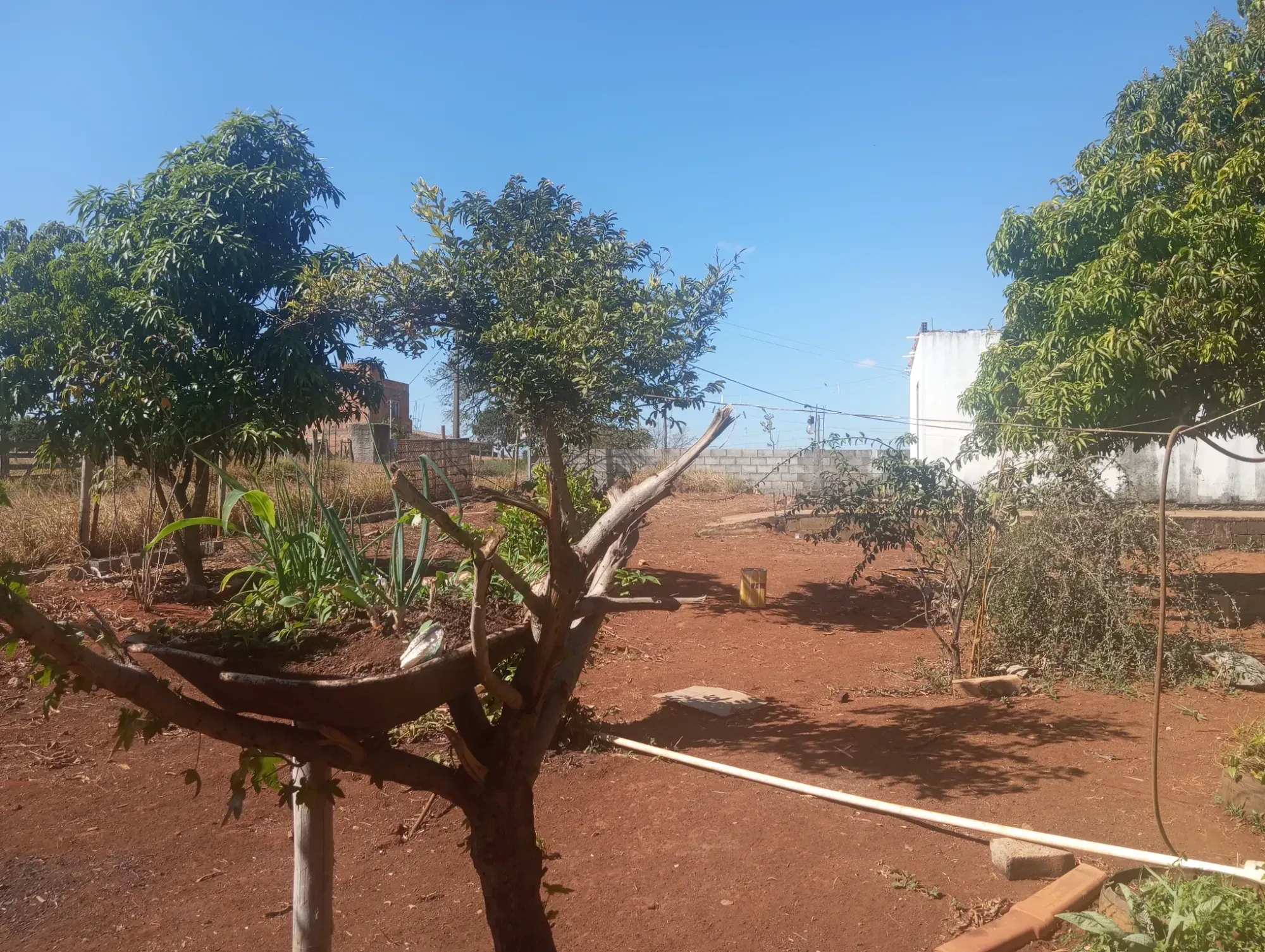 Imagem Chácara com 2 Quartos à Venda, 2.000 m² em Matozinhos - Matozinhos