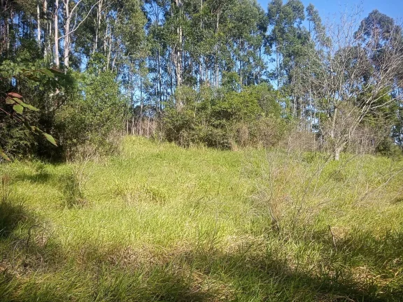 Imagem Excelente Área para Investimento - 29 Hectares, Pimenta, Viamão/RS
