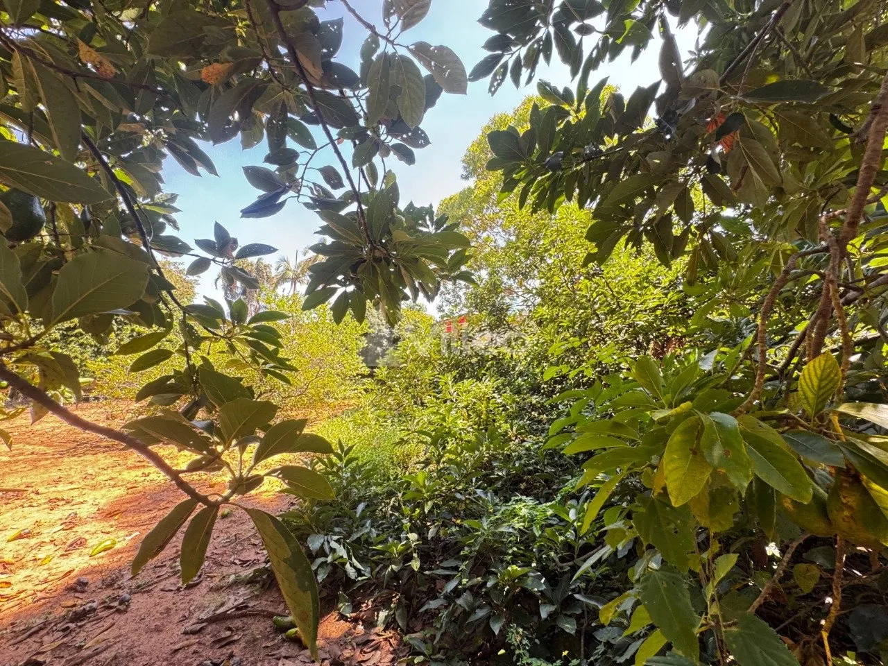 Imagem A área total disponível é de aproximadamente 4.000 m², com possibilidade de desmembramento em lo...