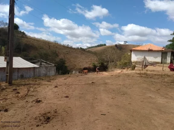 Imagem SITIO RURAL em BANDEIRA DO SUL - MG, Sitio Capituvas