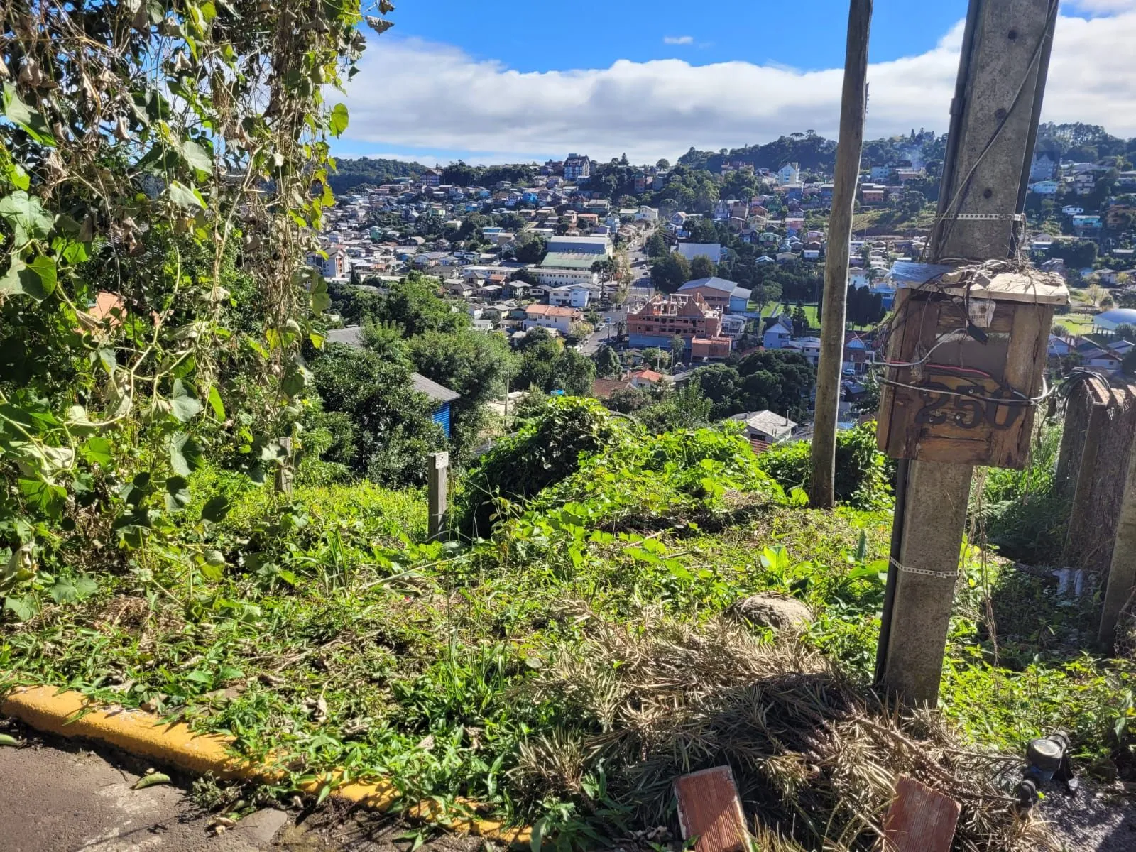 Imagem Lote à venda em Gramado, Piratini, 426m2