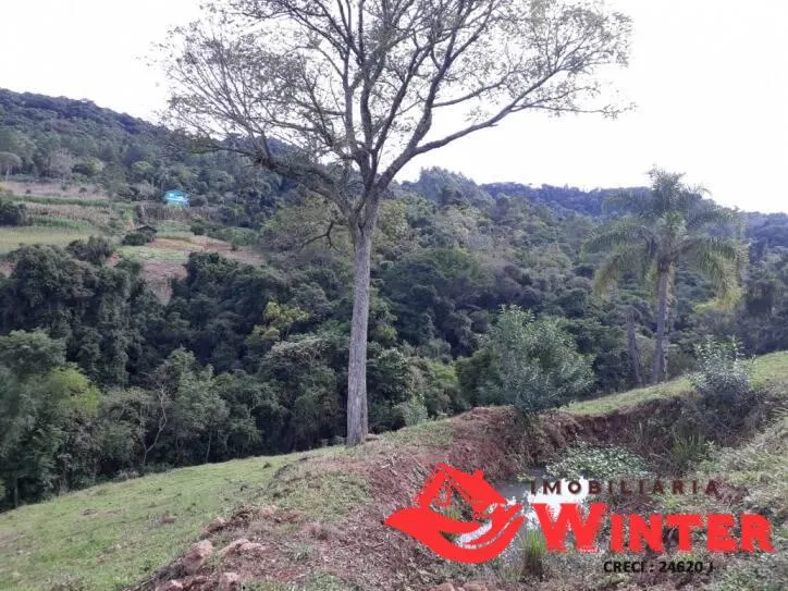 Imagem Linda chácara com 1,4 hectares no Canto Dewes, Alto Feliz.