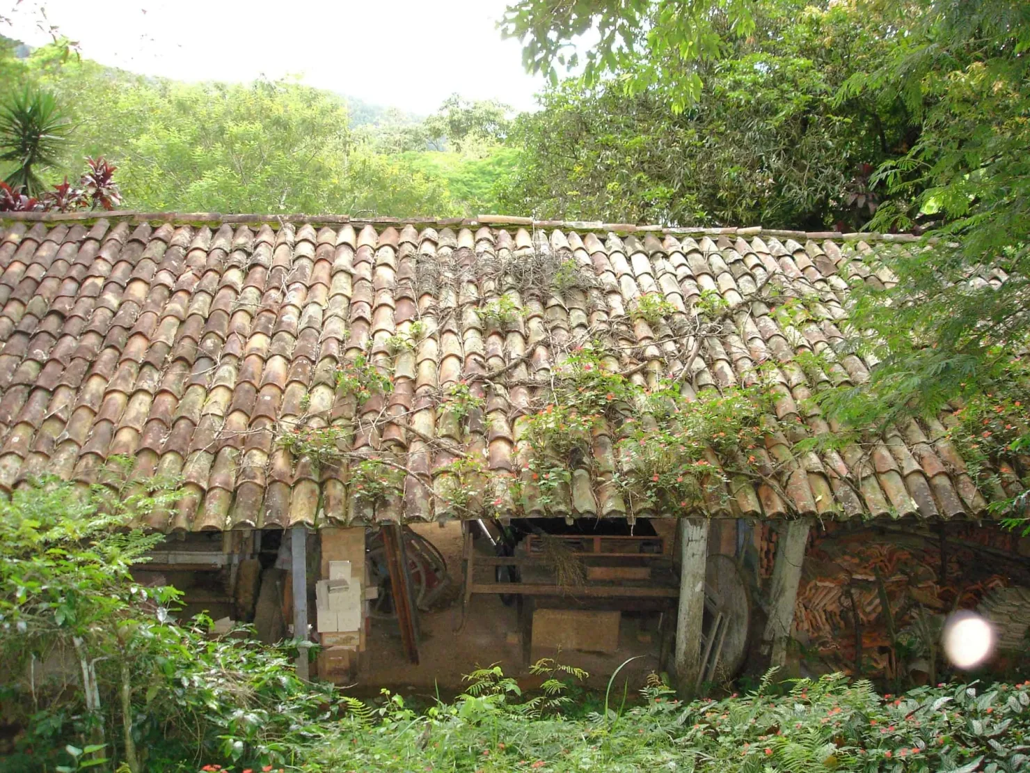 Imagem Sítio à venda 3 Quartos, 49000M², Ribeirão Grande, Pindamonhangaba - SP