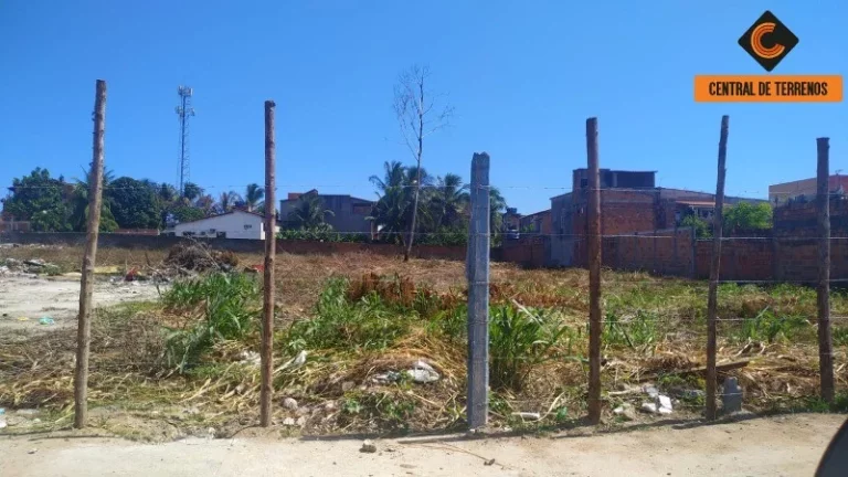 Imagem TERRENO EM ABRANTES
