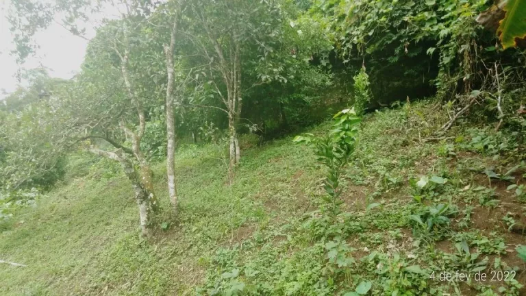 Imagem VENDO ESTA LINDA CASA EM NOVAFRIBURGO. BAIRRO: PARQUE S. CLEMENTE