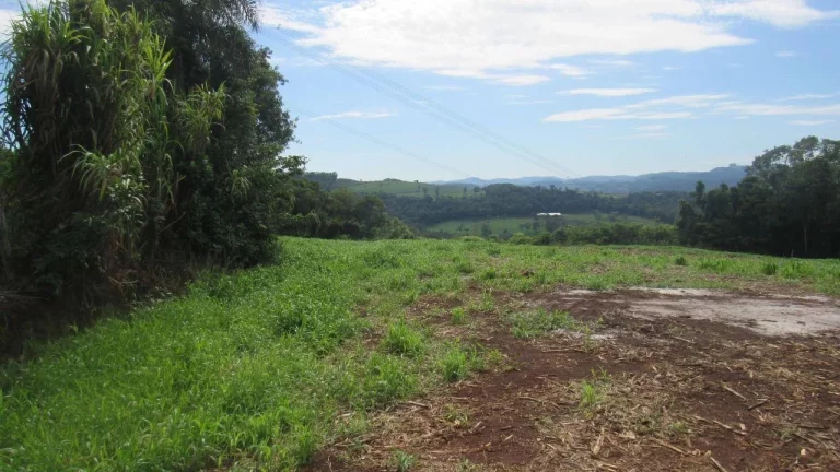Imagem Área Agrícola para Venda em Concórdia, Rancho Grande