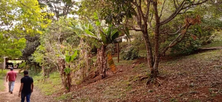 Imagem Sítio à venda no bairro Canedos - Piracaia/SP
