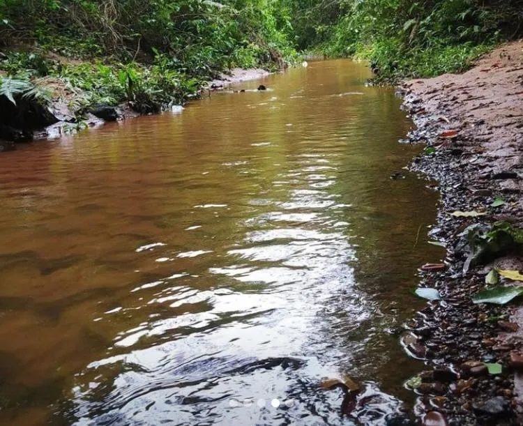 Imagem Chácara 20m Maria Helena-PR 191