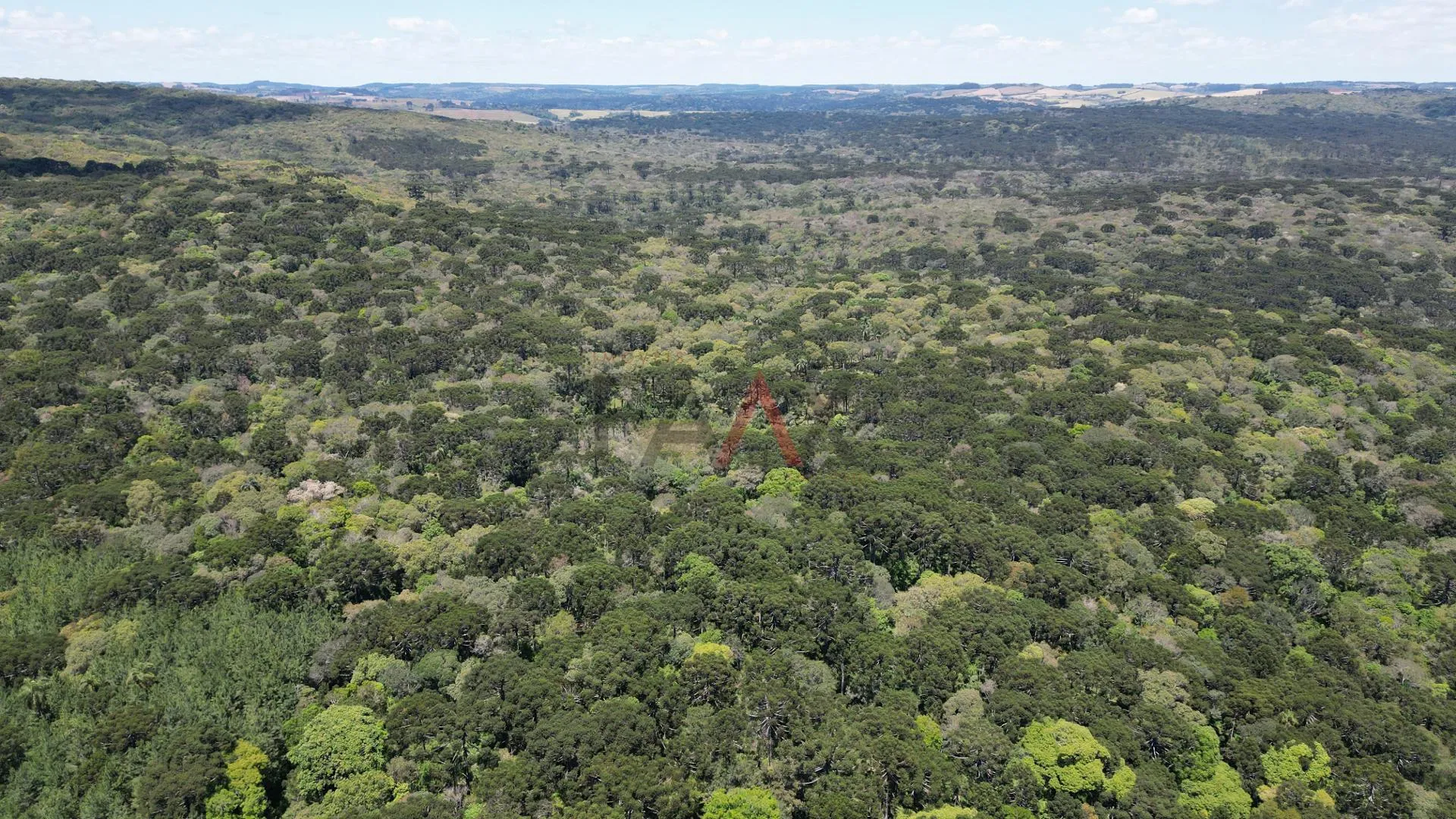 Imagem CHACARA A VENDA NO DISTRITO DO GUAIRACA, GUARAPUAVA - PR