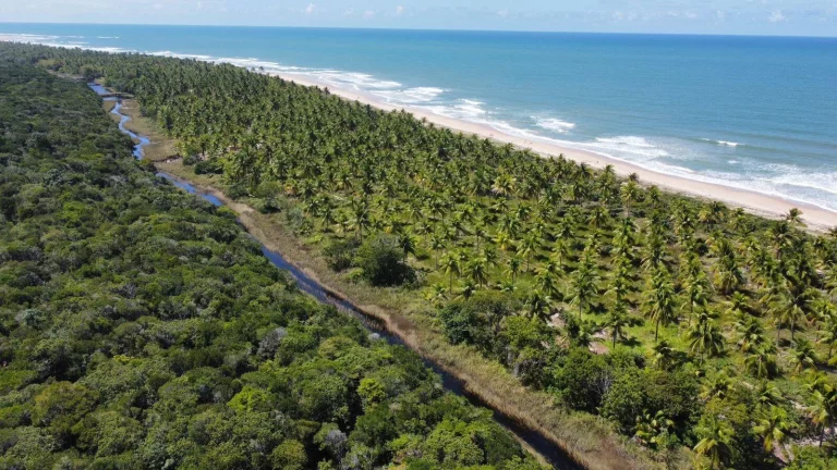 Imagem MÓDULOS RURAIS MATA ATLÂNTICA
