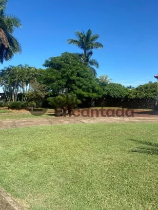 Imagem Casas / Alto Padrão na cidade de Birigui