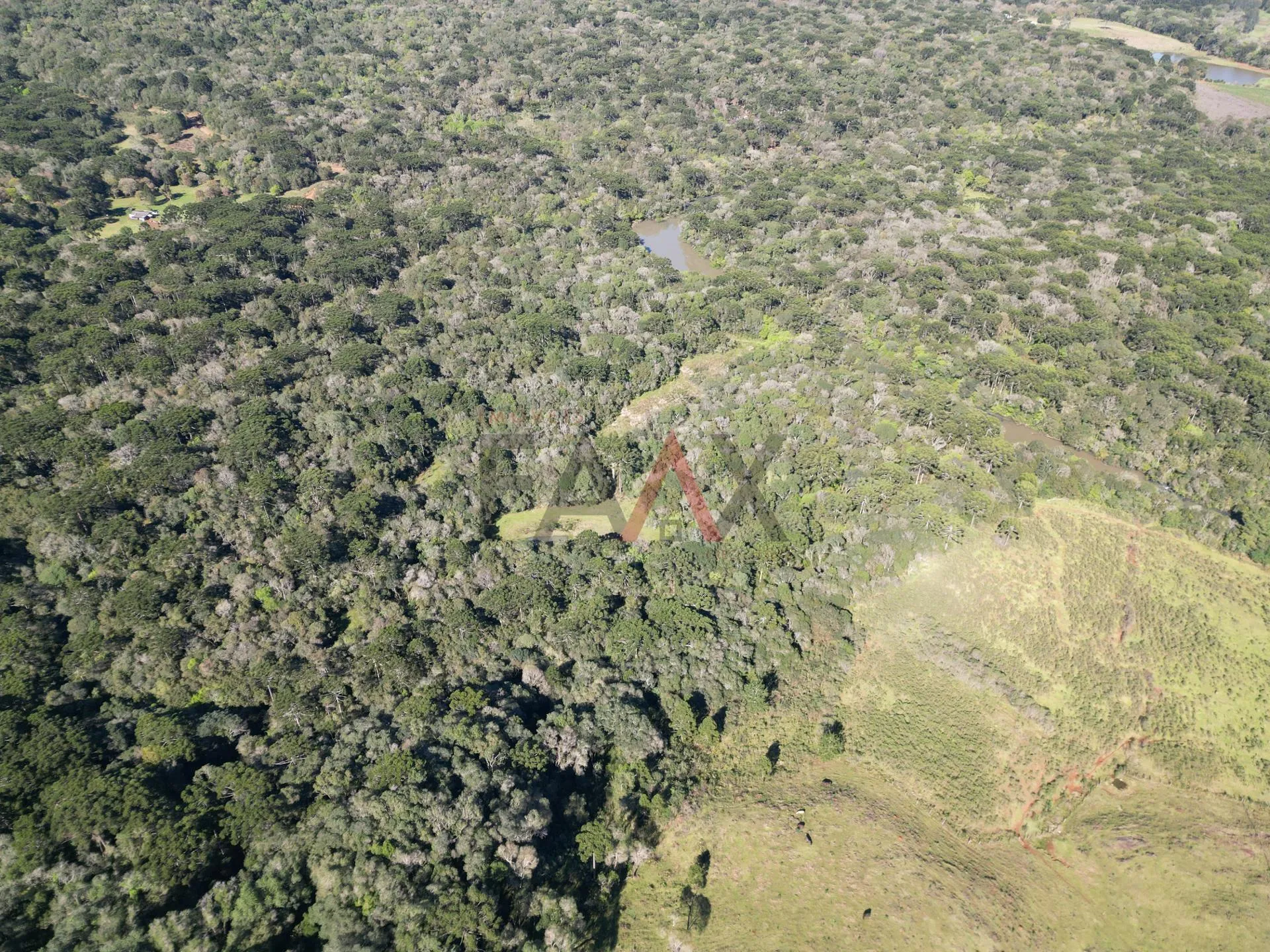 Imagem Área rural à venda proximo ao hopy valley com rio em Guarapuava - PR