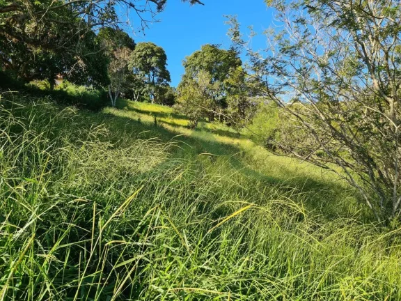 Imagem Belíssimo Terreno na Beira da Represa em Piracaia