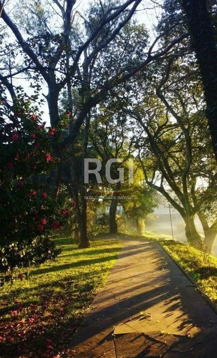 Imagem Area para Venda - 28244.6m², 0 dormitórios, Rubem Berta