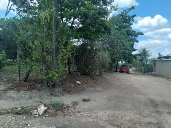 Imagem Terreno de 3000m² à venda, localizado em Chã de Onça, Paudalho - Pernambuco.