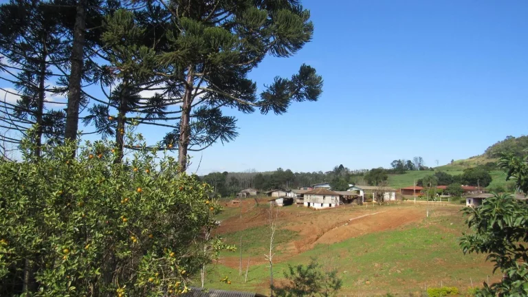 Imagem Casa para Venda em Concórdia, Santa Rita, 3 dormitórios, 2 banheiros
