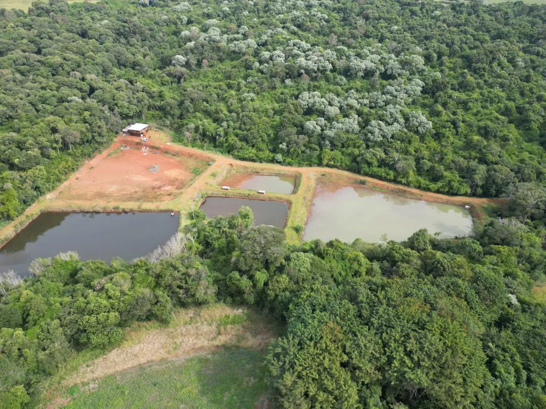 Imagem Chácara à venda em Cascavel, Centro - Casa de caseiro, Rio e Lago para pesca