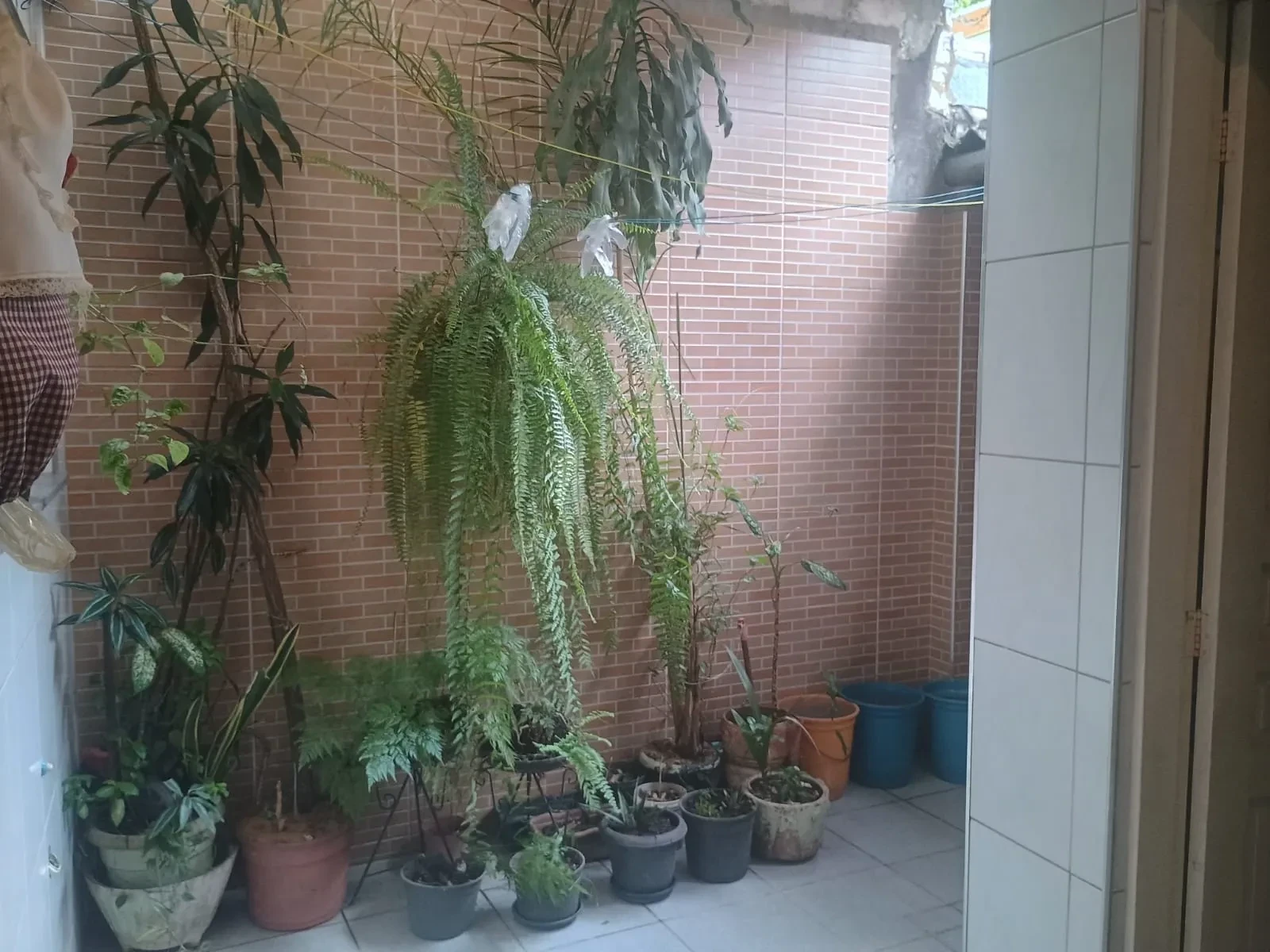Imagem Sobrado com 2 Quartos à Venda, 100 m² em Maranhão - São Paulo
