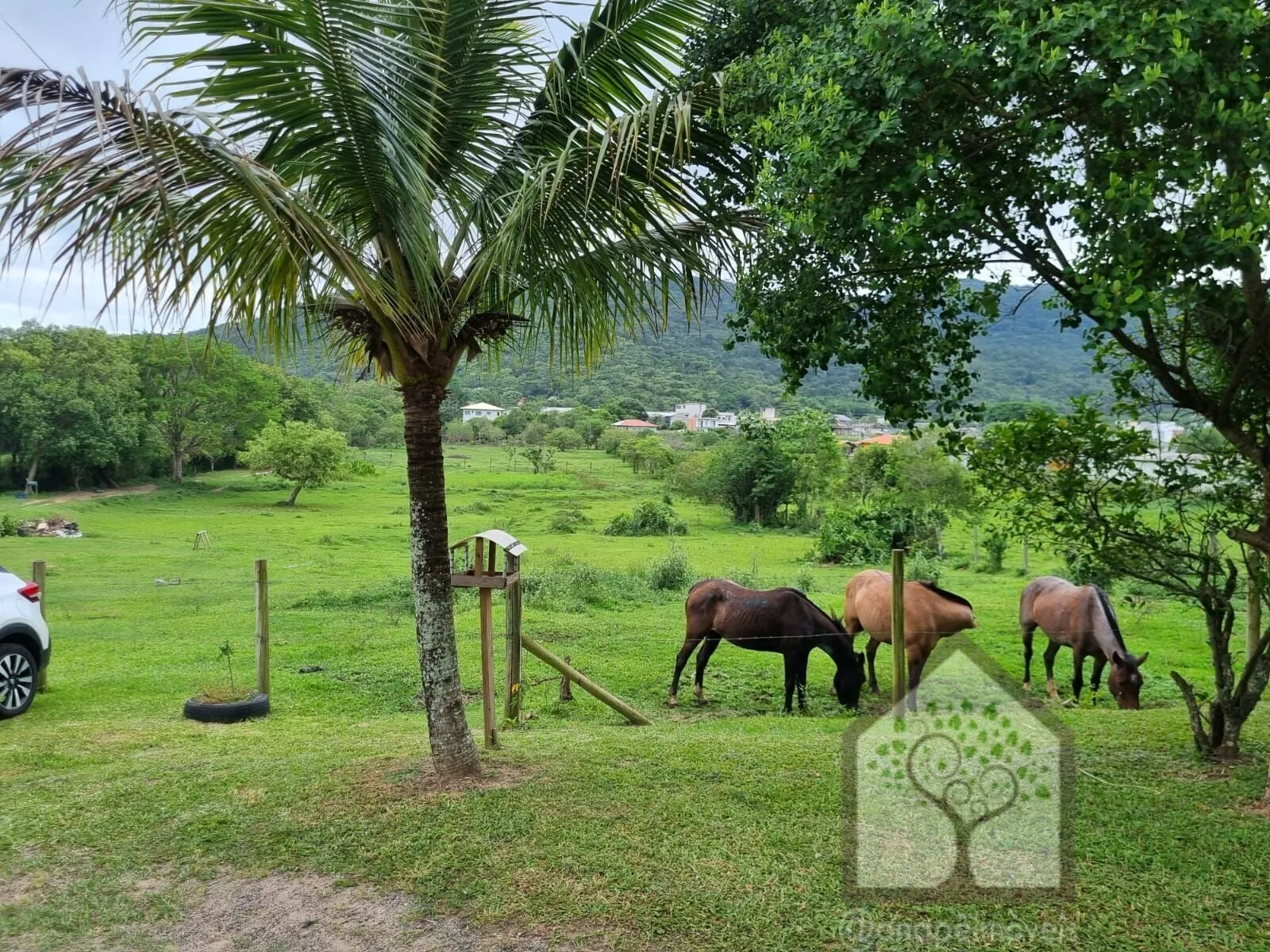 Imagem Chácara na Vargem Grande, Florianópolis/SC