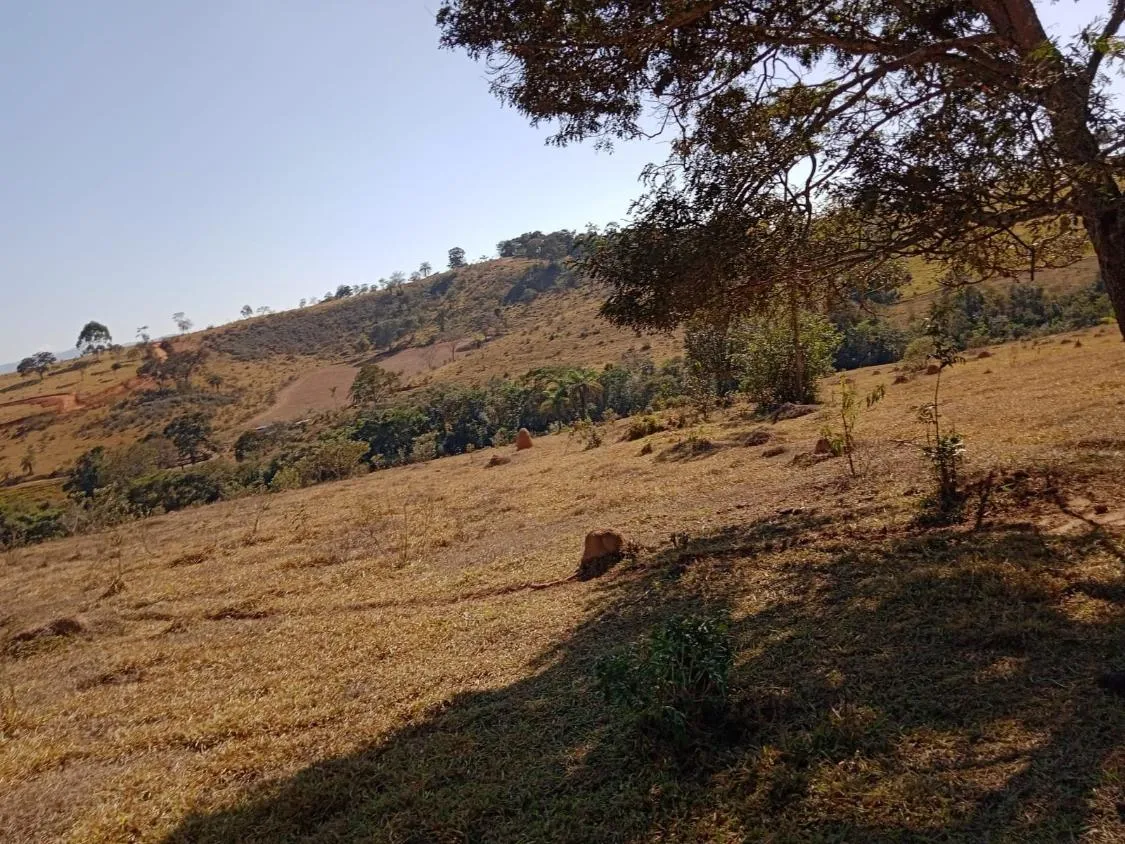 Imagem Vendo Excelente Fazenda em Bonfim/MG 90 hectares de terra