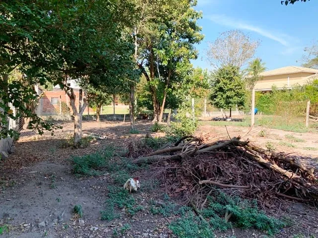 Imagem Terreno à venda 2 Quartos, 1 Vaga, 1240M², Crispim, Pindamonhangaba - SP