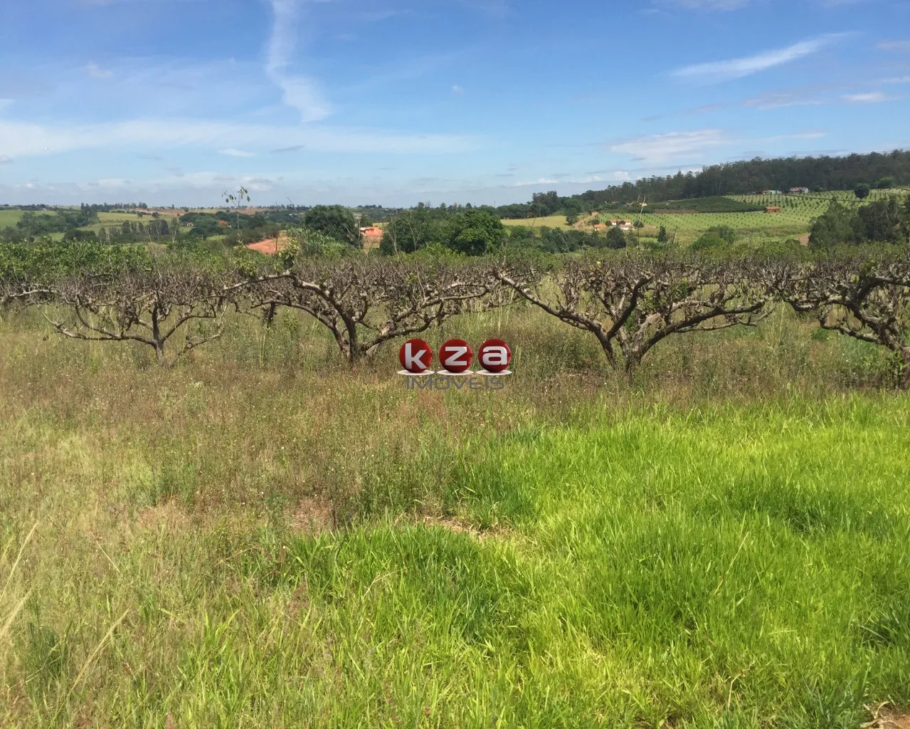 Imagem Sitio à venda em Valinhos-SP: 3 quartos, 1 sala, 2 banheiros, 46.000m² de área no bairro Macuco!