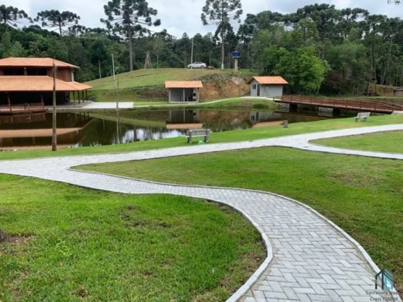 Imagem Chácara linda, açude grande, poço artesiano, 150 metros do asfalto, em Campina grande do sul, PR