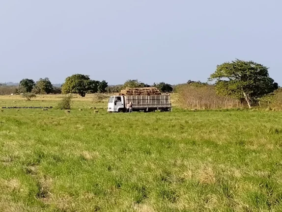 Imagem Fazenda para Venda em Santa Maria, SANTA MARIA