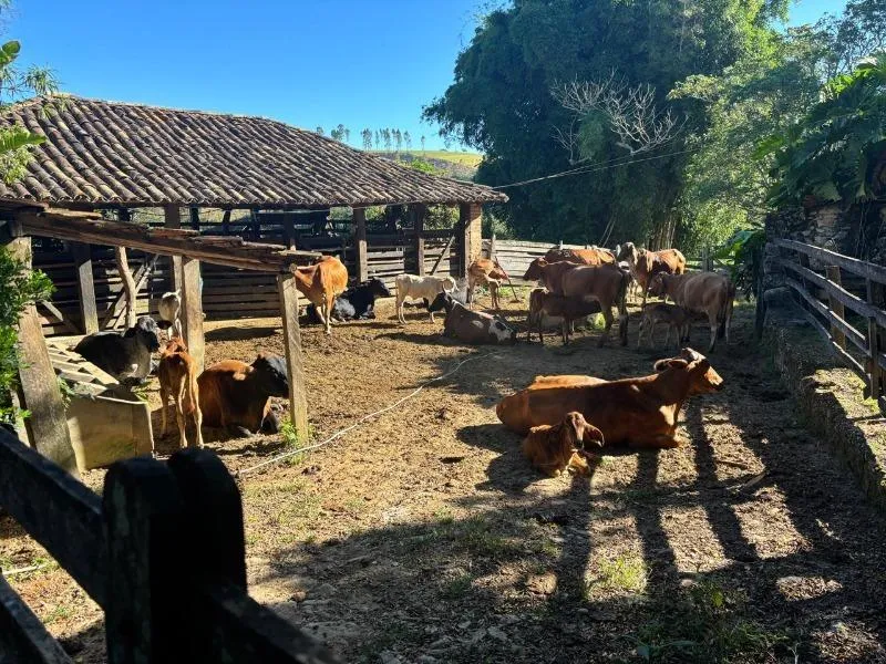Imagem FAZENDA À VENDA - DESTERRO DE ENTRE RIOS (MG) 51 hectares de área total