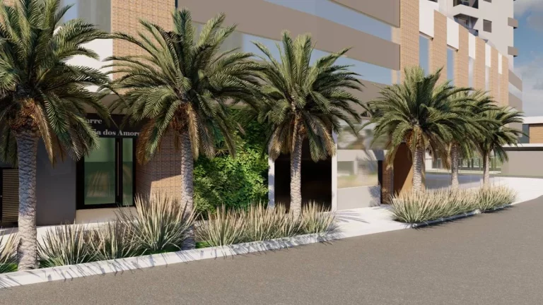 Imagem Portal Brava